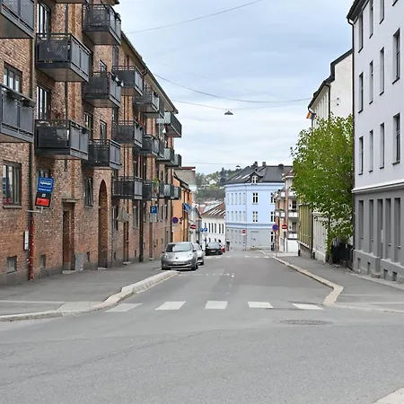 Your Entire 1 Bedroom Appartement Oslo