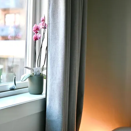 Your Entire 1 Bedroom Appartement *